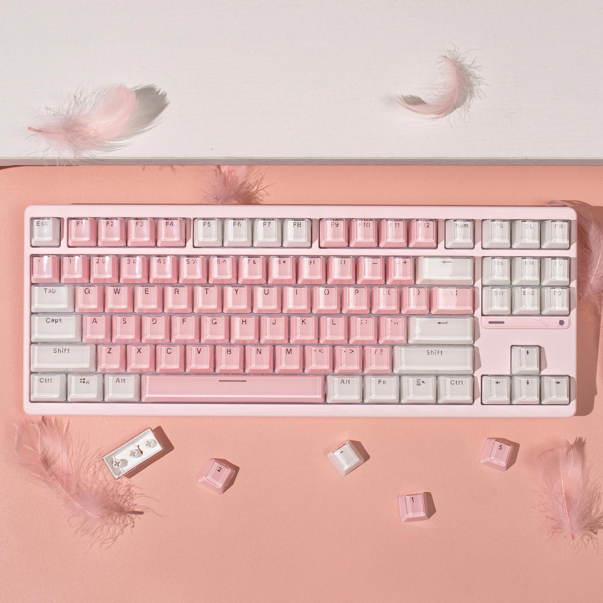 Crystal White Pink Jelly Keyca - مراجعة Pc Gaming Pink وسعره