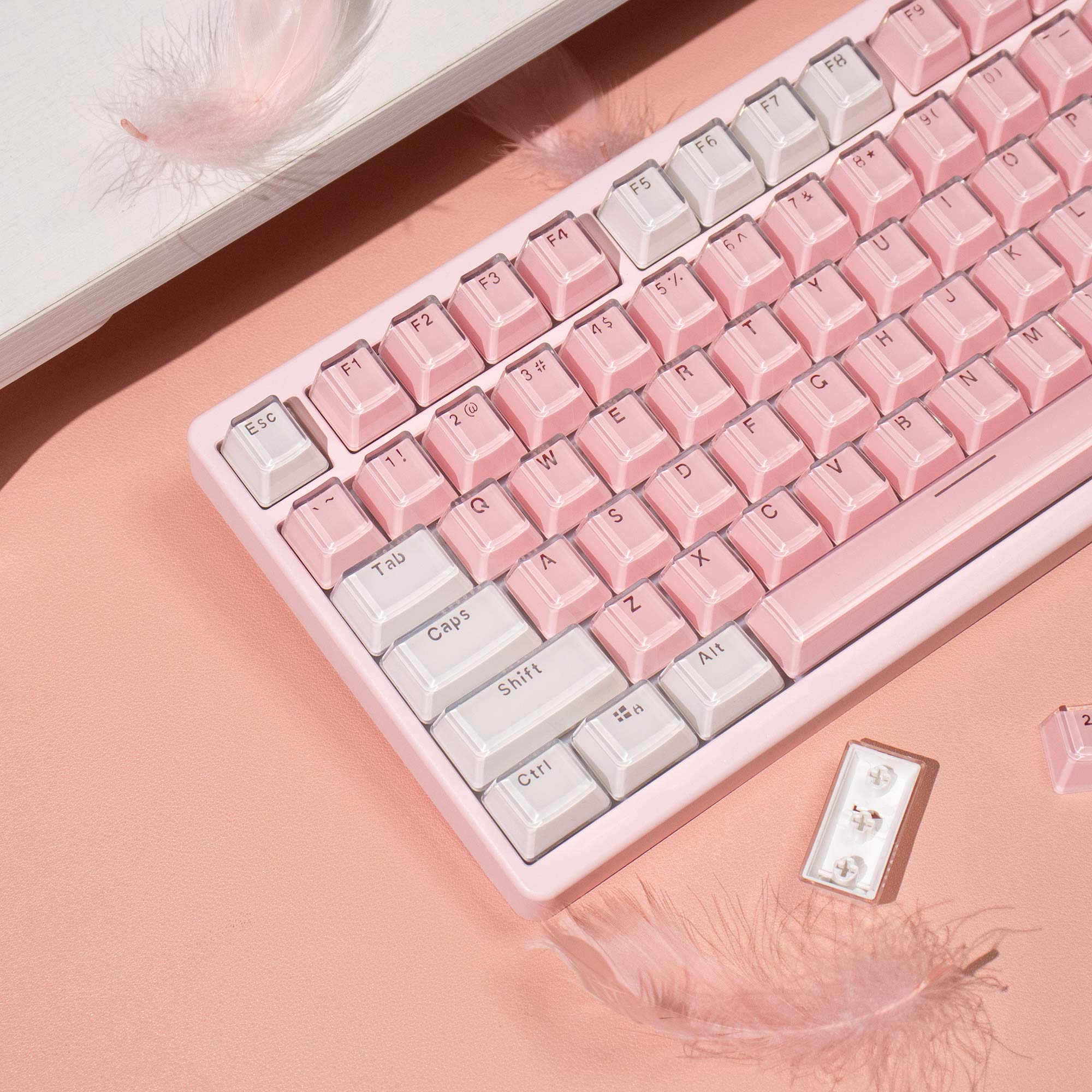 Crystal White Pink Jelly Keyca - مراجعة Pc Gaming Pink وسعره