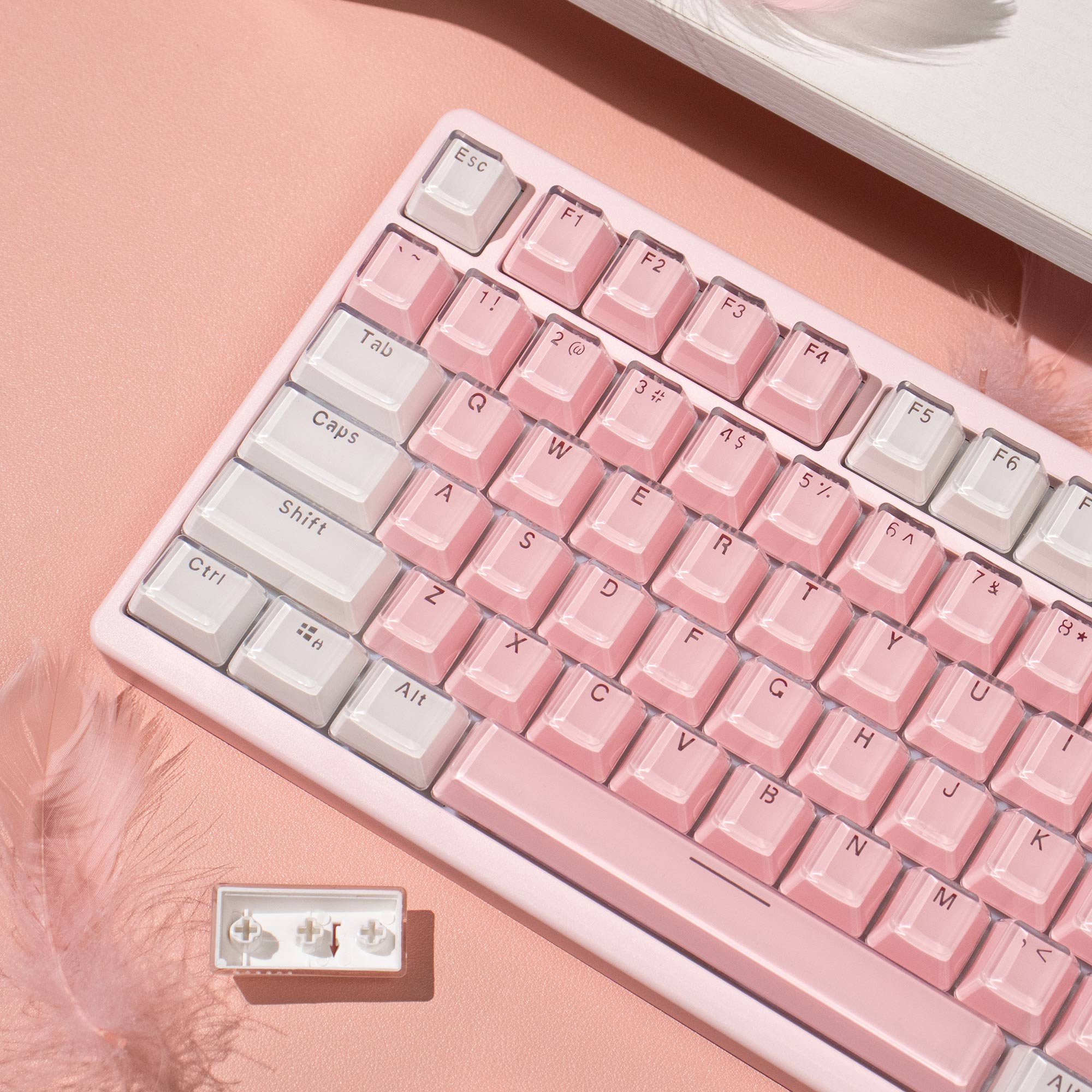 Crystal White Pink Jelly Keyca - مراجعة Pc Gaming Pink وسعره